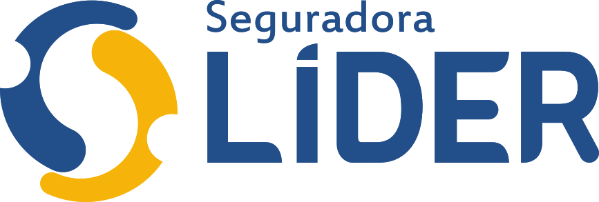 Seguradora Líder | Conheça a responsável pelo Seguro DPVAT