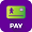 Logo Vivo Pay para Vivo Controle Logo Vivo Pay