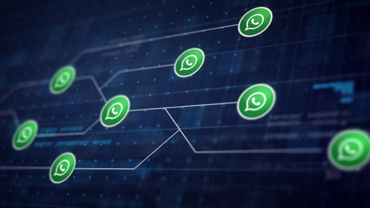 App WhatsApp Business