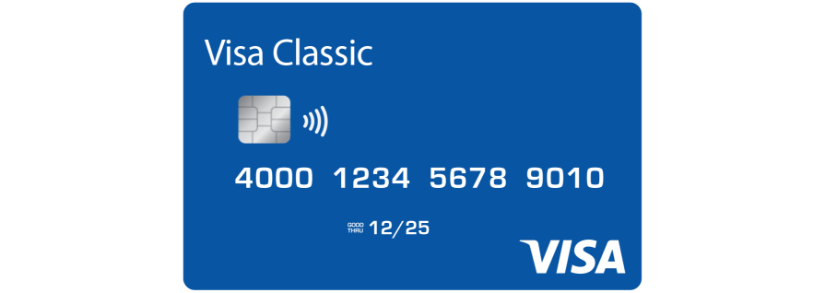 Saiba tudo sobre o cartão de crédito Visa